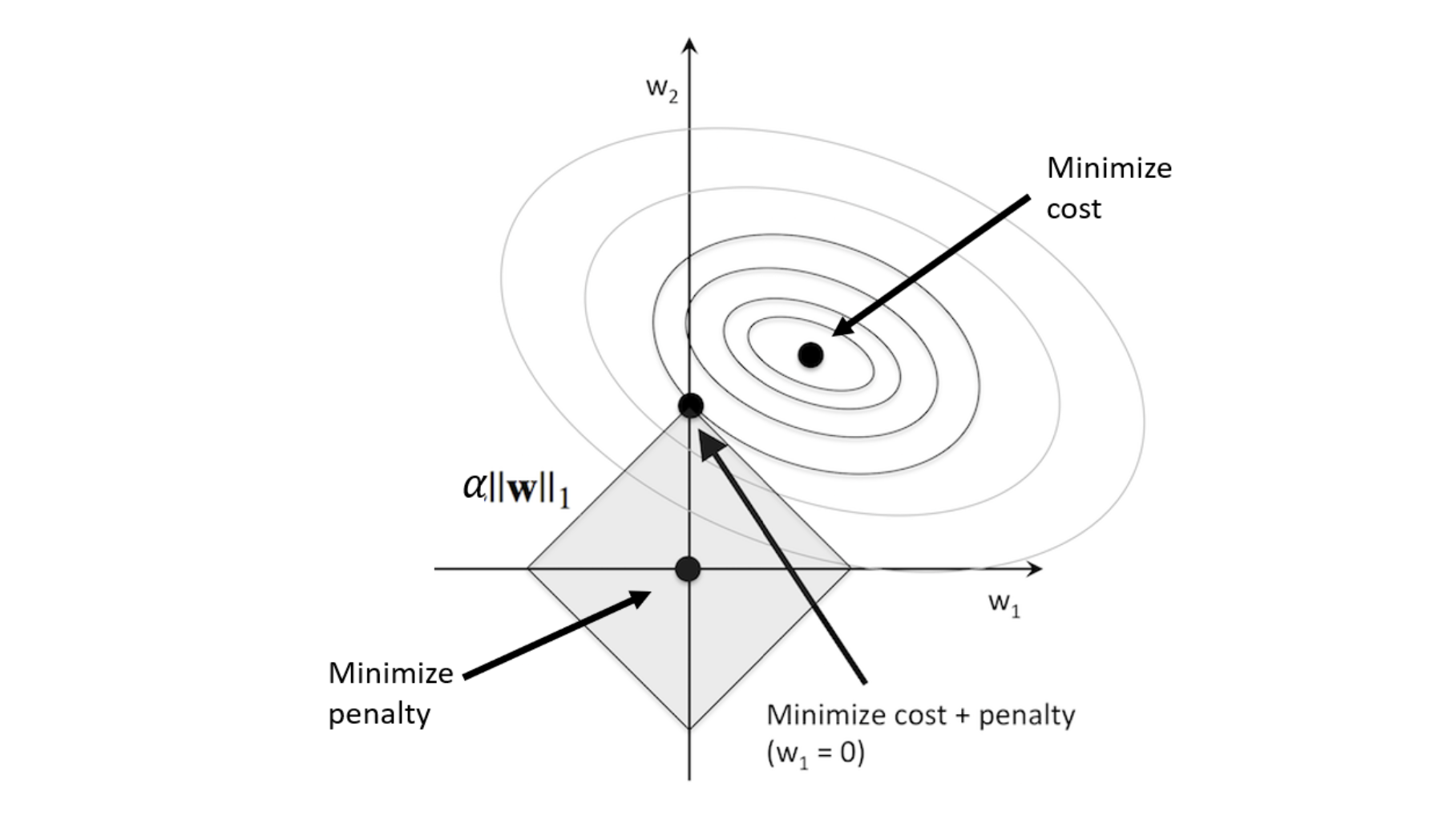 L1Regularization